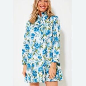 Floral Blue and White Tate Dress Tuckernuck